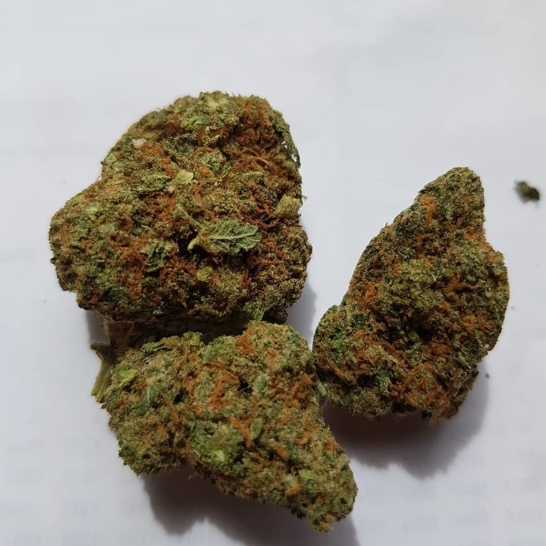 Cannabuzz Thirdeye Tv From the date of purchase it causes eyestrain. cannabuzz thirdeye tv