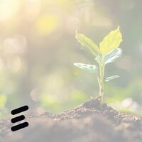 Mindset und Psychologie