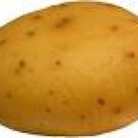 The Magic Potato