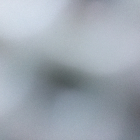 Mary Fitzpatrick🇨🇦