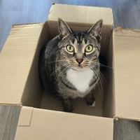 Sammi Jo Cummings-Kelley 