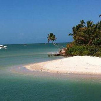 SunshineinParadise 🌴🌞🌺