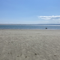 🇬🇧Carla Littler🇬🇧