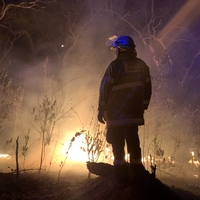 Regina  Van Heythuysen